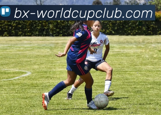 多媒体互动体验